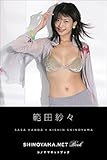 範田紗々[SHINOYAMA.NET Book] シノヤマネット