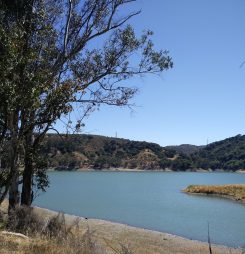 “From San Jose to Monterey”- ISWC2018 Bike Ride