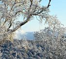 うっすらと山全体を覆う9月の雪