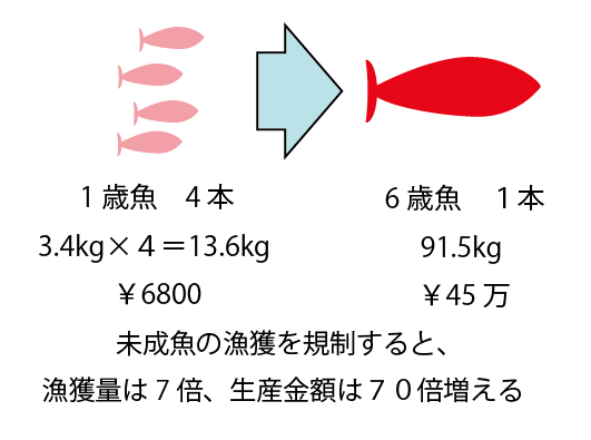 キャプチャ