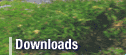 downloads