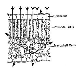 Figure 138