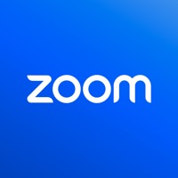 zoom图标