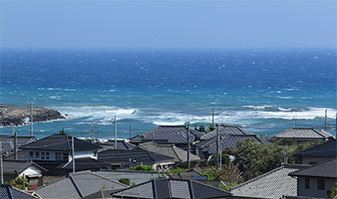 和田浦の海