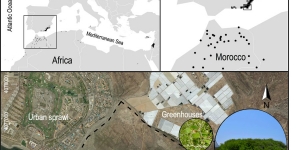 ECOPOTENTIAL again in ESA’s Sentinel news