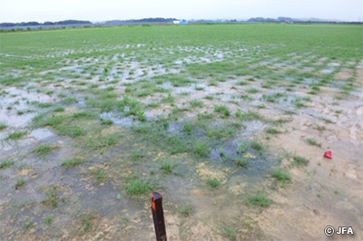 【復興支援】福島県相馬市にフットボールセンターがオープン