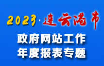 政府网站年度工作报表