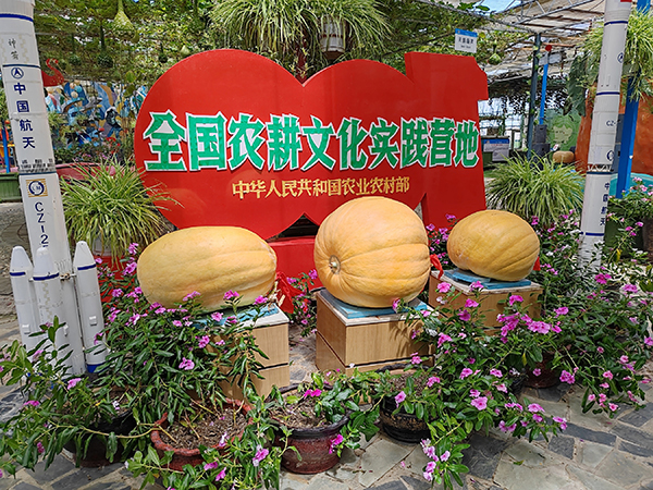 精品点2-七彩南山景区太空植物王国入口处展示.jpg