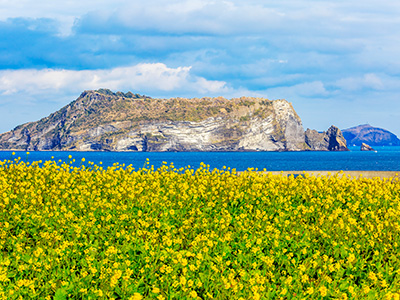 済州島