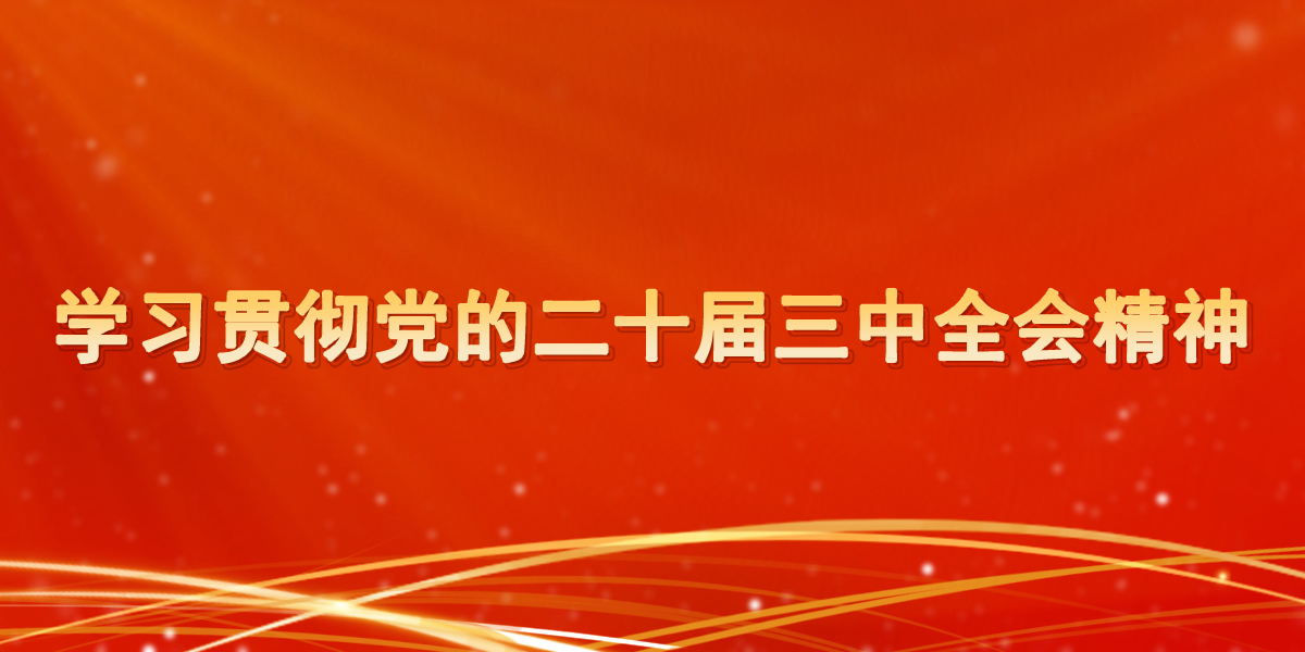 学习贯彻党的二十届三中全会精神