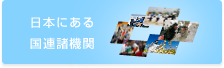 日本にある国連諸機関