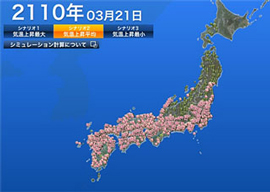 2110年3月21日の開花シミュレーションんの図