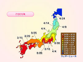 2009年の桜開花前線マップの図