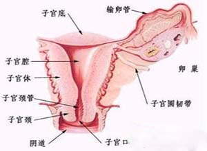 什么是慢性盆腔炎