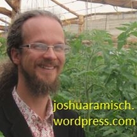 Joshua J Ramisch