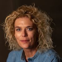 Kiene  Brillenburg Wurth