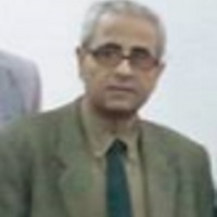 Abdel Salam El-Koumy