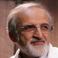 Reza  Malekzadeh