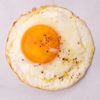 Fried Egg