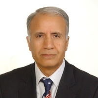 M.H. saidi