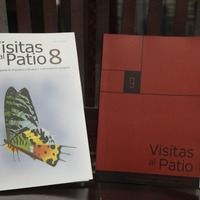 Visitas al patio Revista de estudios de Lingüística y Literatura