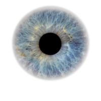 The Ophthalmology Open Journal