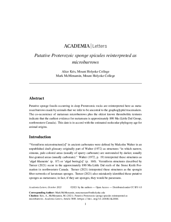 First page of “Putative Proterozoic sponge spicules reinterpreted as microburrows”