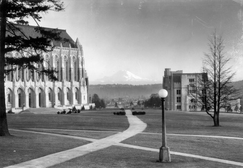 Today&rsquo;s Throwback Thursday features Suzzallo Library, Johnson Hall and Rainier Vista. Huskies, can you guess the decade?!