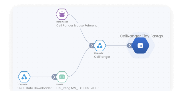 Lineage Graph