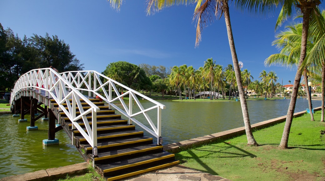 Josone Park featuring a garden, a bridge and a lake or waterhole