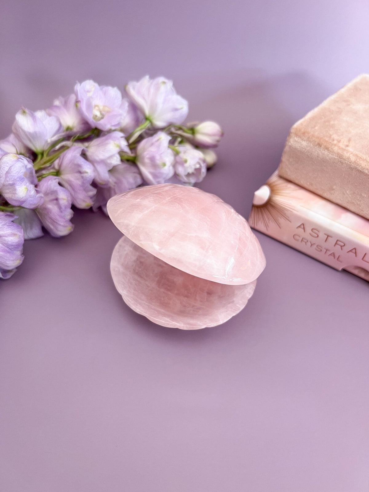 Rose Quartz Sea Shell Bowl