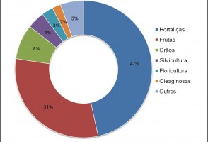 Propriedades orgânicas certificadas por pares apresentam maior diversidade de produtos