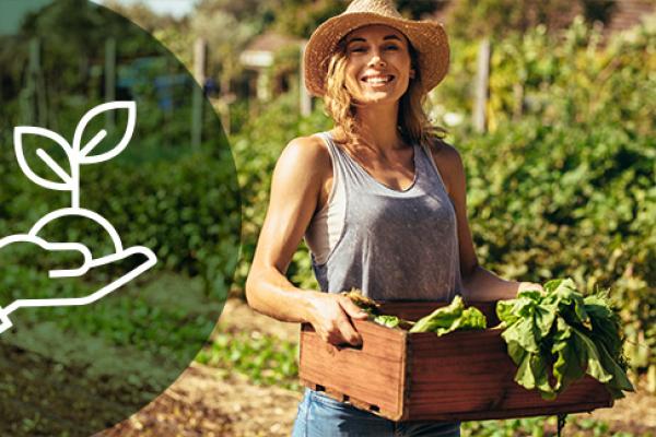 a person holding a box of vegetables