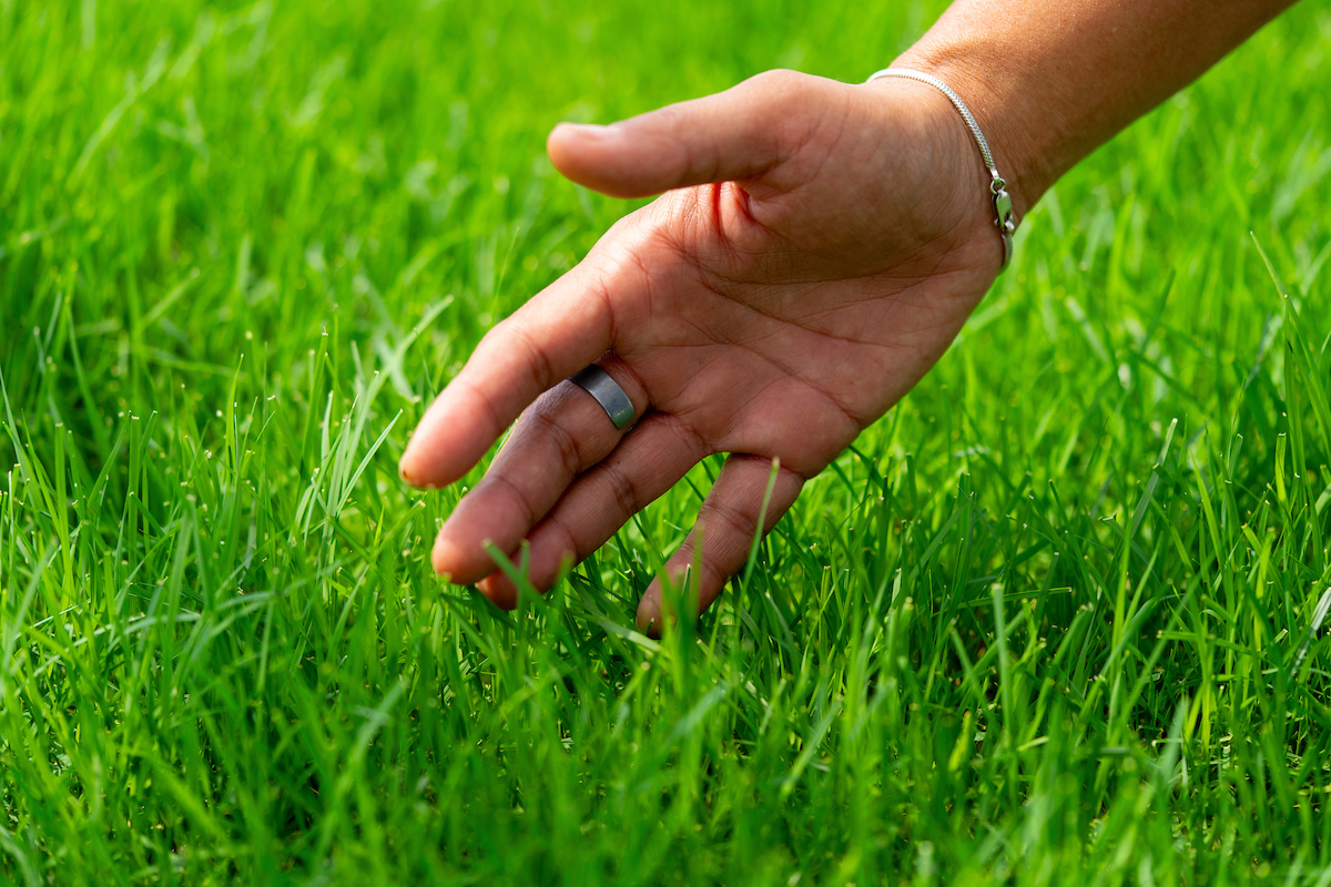 Texas A&M Turfgrass Program: Research, Extension and the Next Generation