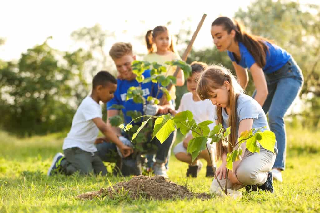 Studente en onderwysers plant saam 'n boom