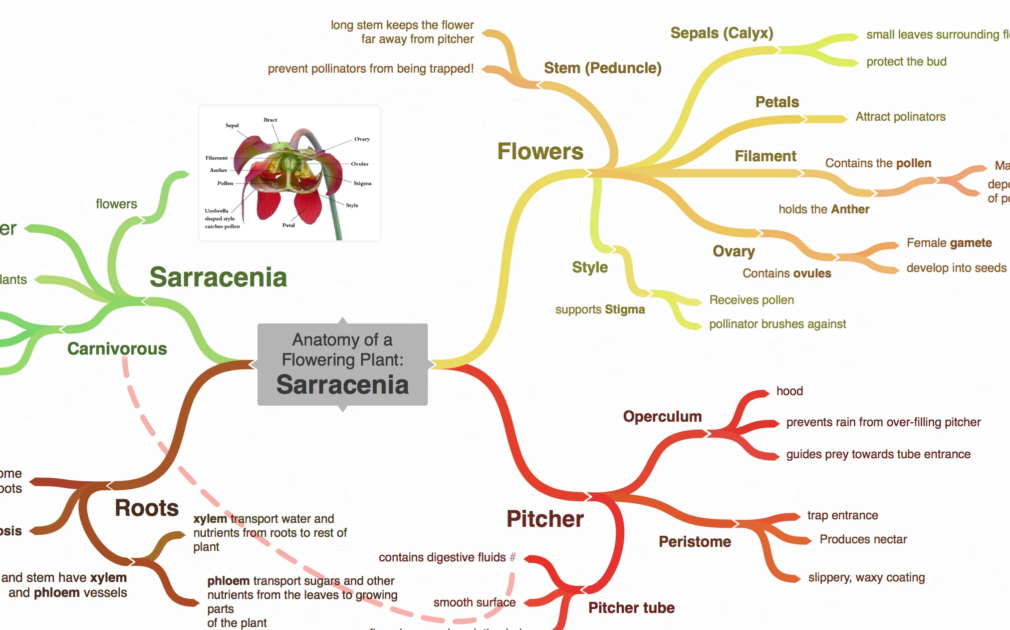 Beispiele für Mindmaps