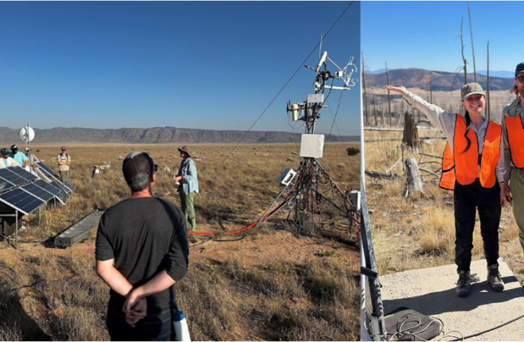 Photos of people at the field sites.