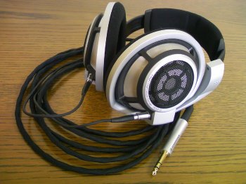 HD800