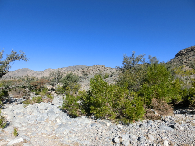 Jabal Akhdar　～ジャバル アフダルのワジ（涸れ川）を歩く～