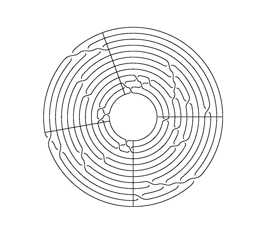 Image for "Braids in Representation Theory and Algebraic Combinatorics"