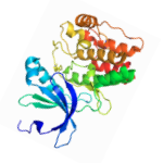 Inferring a Continuous Distribution of Atom Coordinates from Cryo-EM Images Using VAEs