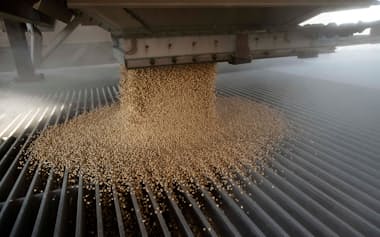 大豆はブラジルや米国が主な生産地=写真はロイター