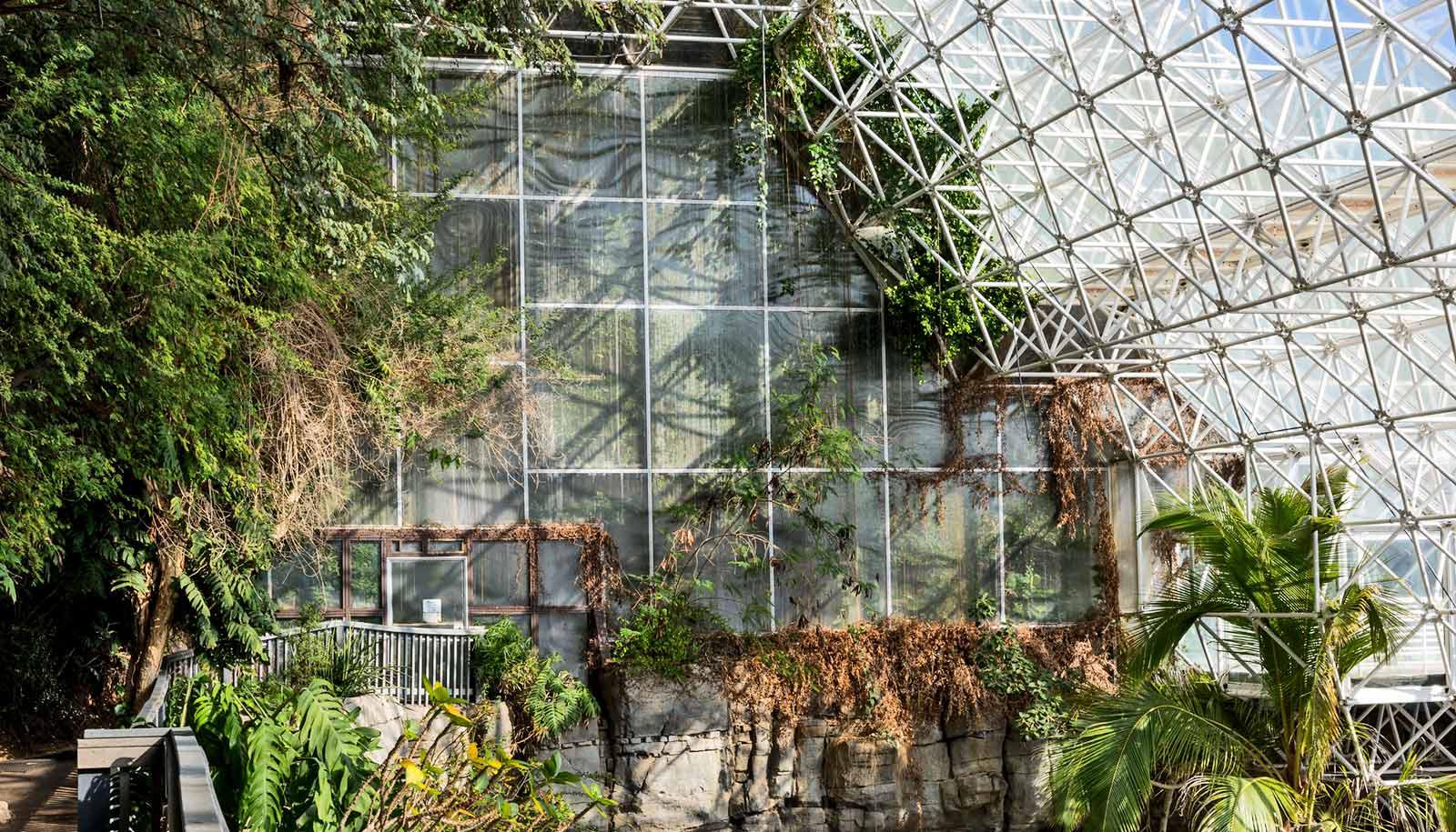 biosphere windows with greenery