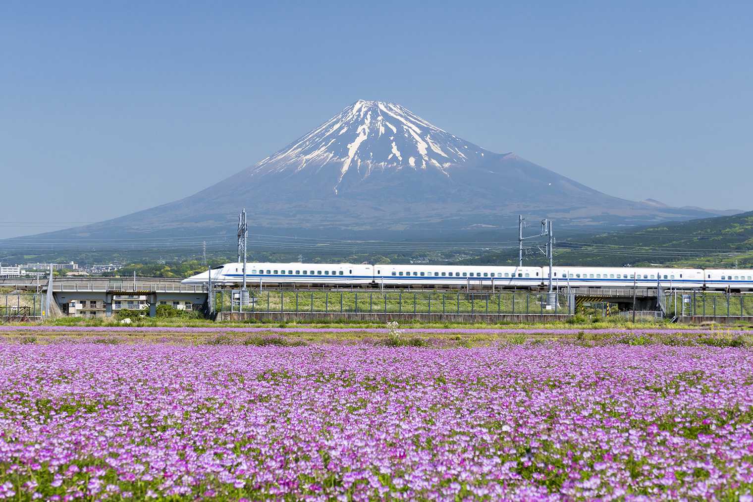 富士山と新幹線