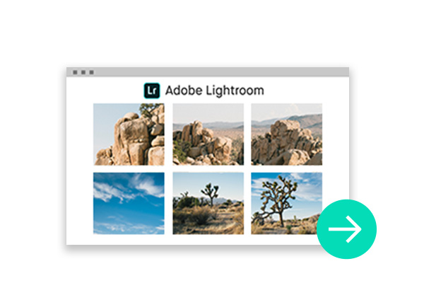 Imagen del plugin Adobe Lightroom.