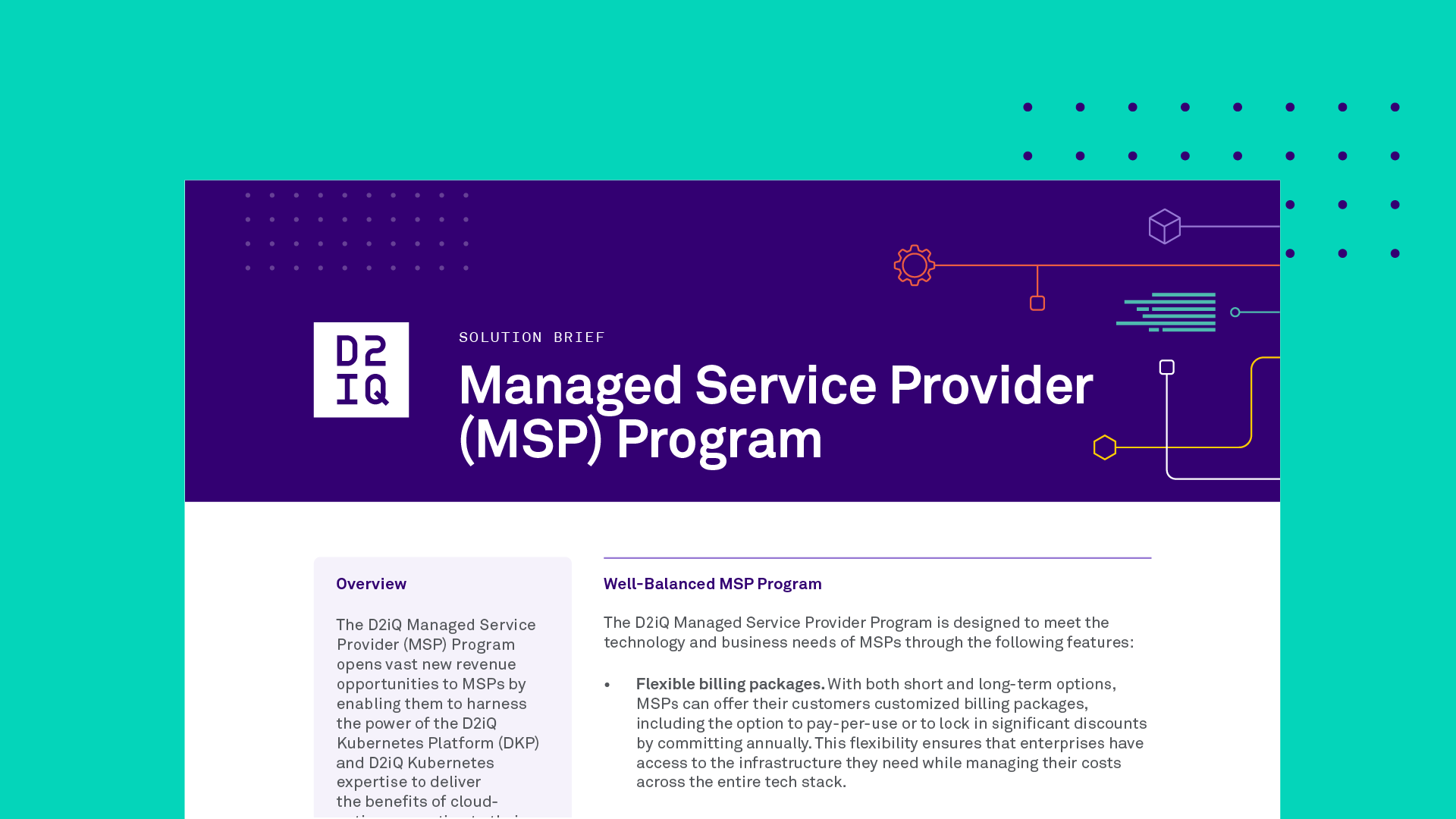 Managed Service Provider (MSP) Program