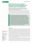 Research paper thumbnail of REP1 deficiency causes systemic dysfunction of lipid metabolism and oxidative stress in choroideremia