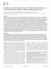 Research paper thumbnail of Identification of the Linkage between A-Polysaccharide and the Core in the A-LPS of Porphyromonas gingivalis W50