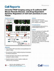 Research paper thumbnail of Intravital FRAP Imaging using an E-cadherin-GFP Mouse Reveals Disease- and Drug-Dependent Dynamic Regulation of Cell-Cell Junctions in Live Tissue