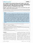 Research paper thumbnail of The B-MYB Transcriptional Network Guides Cell Cycle Progression and Fate Decisions to Sustain Self-Renewal and the Identity of Pluripotent Stem Cells